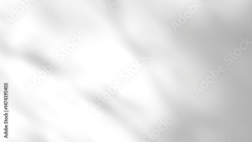 Wallpaper Mural Abstract blurred background featuring soft gradients of white and light gray tones, Realistic shadow overlay from plant leaf on white background. Torontodigital.ca