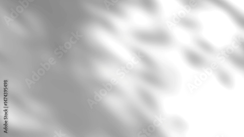 Abstract gray and white background with blurred shadows and light gradients effect, Realistic shadow overlay from plant leaf on white background.