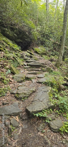 Cave in the woods 5