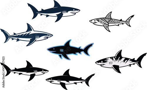 Shark Vector Set – Realistic and Stylized Illustrations of Shark Species