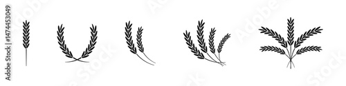 Wheat ear vector simple icons set. Minimalistic wheat spike drawings