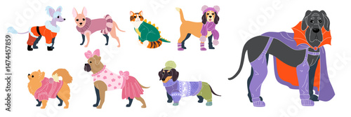 Dog cloth. Pets in winter clothing. Accessory dress. Doggy costume. Corgi shoes and coat for cold season. Apparel for friendly domestic animals. Sweater and jacket for cats. Vector canine clothes set