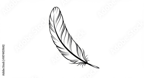 Elegant bird feather design perfect for your creative projects lightweight and graceful design