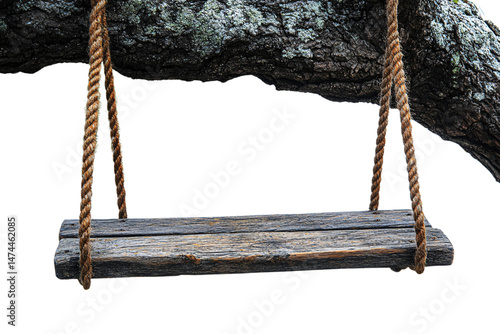 Rustic wooden swing hanging by thick rope from a sturdy tree branch, evokes childhood forest nostalgia, isolated on a transparent background