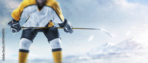 Canvas Print Professional hockey player