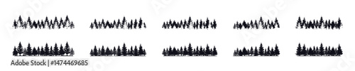 Forest vector silhouette collection. Pine trees silhouettes set. Black natural scape tree group illustrations