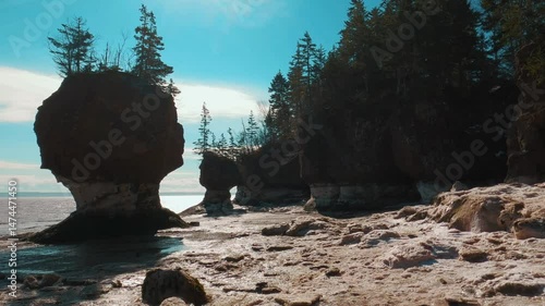 Rock formations with vegetations at Hopewell Rocks Provincial Park, Bay of Fundy under blue sky
