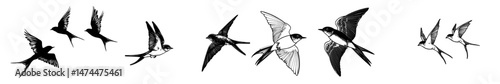The silhouette of flying birds is set against a white background, forming a modern symbol of a flock of swallows, suitable for tattoos of spring birds or swift birds flying in a crowded sky