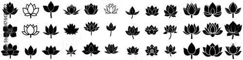 Modern lotus flowers signs or plant lotus blossom symbols in a lotus flower icons set