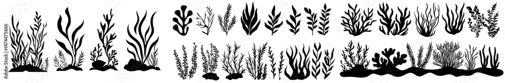 Naklejka premium The underwater world of modern oceans features an array of plants, including seaweeds, sea coral reef, kelp, and sponge silhouettes, alongside a collection of sea weeds, grass, algae, corals,