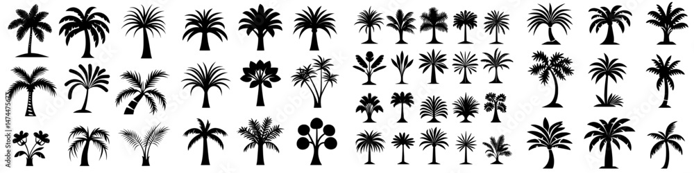 A modern set of tropical palm tree icons is presented in silhouette form on a white background A modern set of tropical palm tree icons is presented in silhouette form on a white background