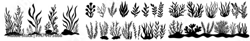 The underwater world of modern oceans features an array of plants, including seaweeds, sea coral reef, kelp, and sponge silhouettes, alongside a collection of sea weeds, grass, algae, corals,