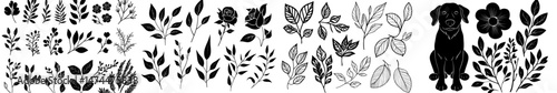 Modern doodle floral design elements featuring hand drawn tree wood branches, boughs with leaves and spikes