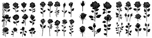 Rose buds create modern silhouettes, and flowers serve as design elements