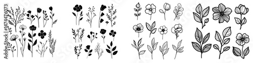 A contemporary assortment of manually illustrated flora, comprising a botanical series of sketched blooms, twigs, and foliage