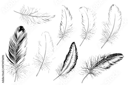 Isolated fluffy white feathers from geese and swans make up this modern set of weightless, realistic plumes