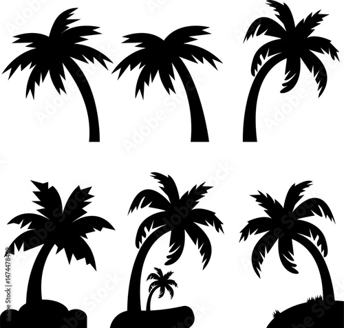Set of different palm tree black silhouettes. Hand drawn vector illustrations isolated on white background