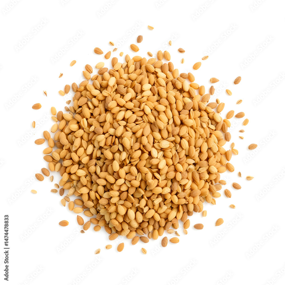 A round bunch of ajwain spice seeds on white isolated background. Indian cuisine, ayurveda, naturopathy concept A round bunch of ajwain spice seeds on white isolated background. Indian cuisine, ayurveda, naturopathy concept