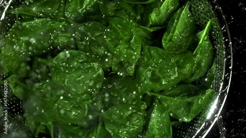 Water droplets fall on spinach leaves. Filmed on a high-speed camera at 1000 fps. High quality FullHD footage
