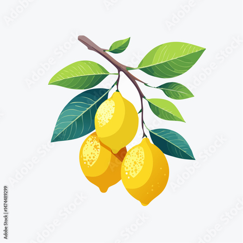 lemon tree with leaves