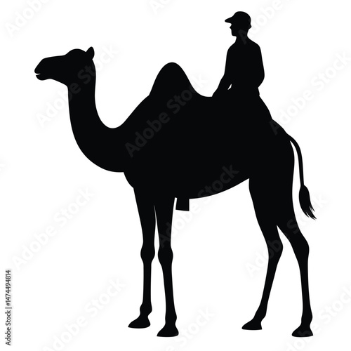 Black silhouette shows a person riding gracefully atop a standing camel