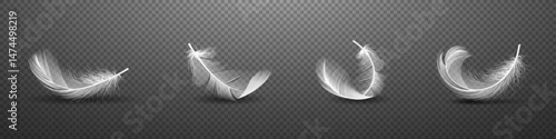 Realistic white feather vector illustration. Detailed white feather design