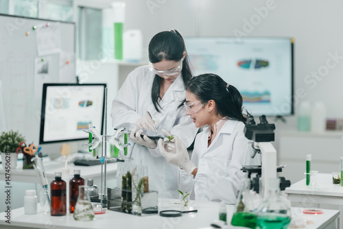 Scientists examining plant ...