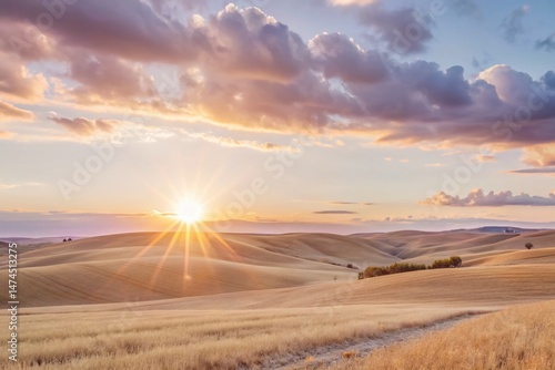 Golden Hour Landscape: Backlit Sunset Over Rolling Hills