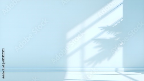 shadow and the blue wall