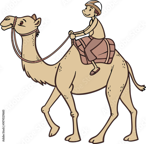  Exotic camel Egypt cartoon mammal cute funny