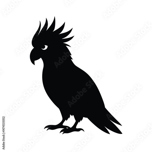 cockatoo black head silhouette
