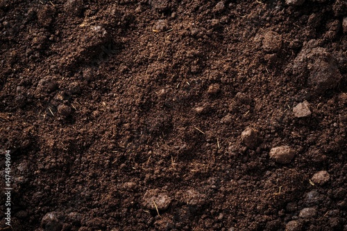 Wallpaper Mural Close-up view of rich, dark soil.  Surface texture shows small rocks and organic matter Torontodigital.ca