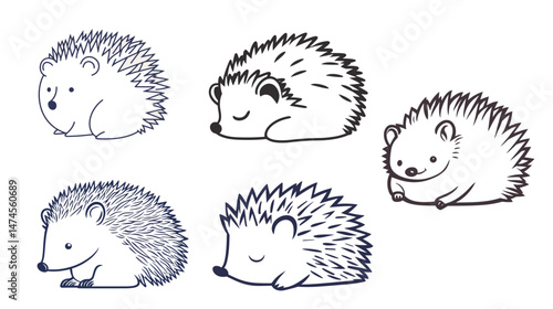 Minimalist line art of a curled hedgehog in a simple and elegant style, featuring clean black lines on a white background, ideal for nature-themed decor, logos, and animal illustrations.