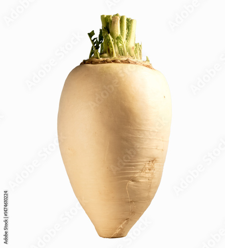 Whole Daikon Radish Isolated on Transparent Background