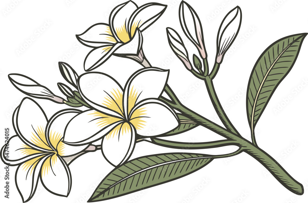 Fototapeta premium Shiuli Flower Colored Design Illustration. Shiuli Bloom Digital Art Design. Shiuli Flower Clipart Drawing Style