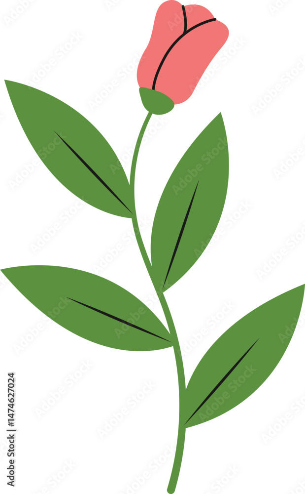 Obraz premium Spring and Summer Flower Decorations For Templet Design Elements and More