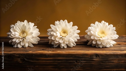 Three White Flowers in a Row on Wooden Table - Minimalist Still Life Photography