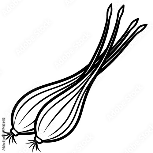 Minimalist Scallions Vector Illustration