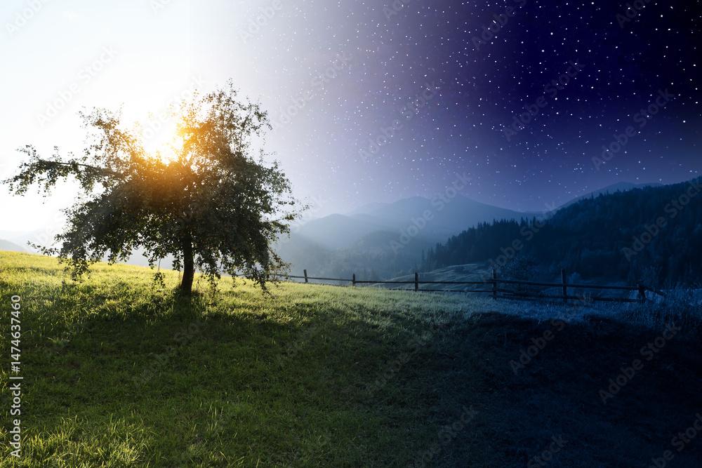 Εκτύπωση καμβά Beautiful tree growing in mountains on sunny day and starry night, collage