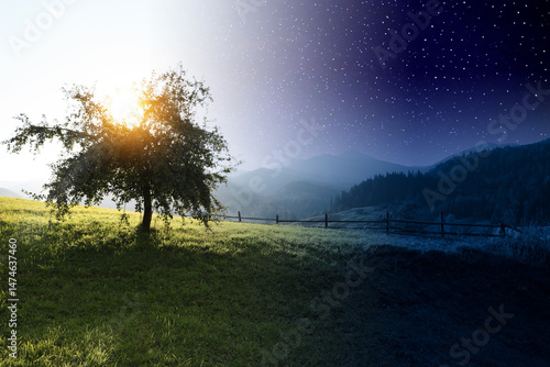 Photography Beautiful tree growing in mountains on sunny day and starry night, collage