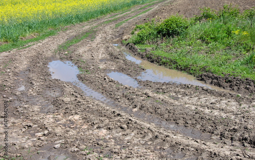 field dirt road with mud and puddles. wheel tracks on the road