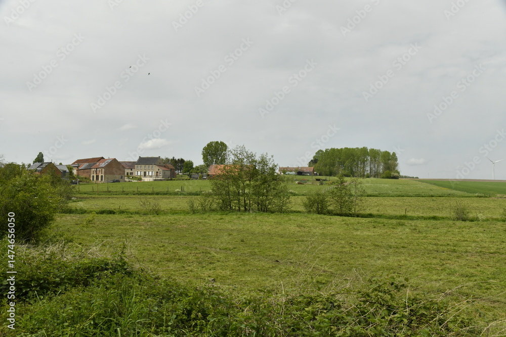 Obraz premium Ciel gris sur une grande prairie à Ghislenghien (Ath)