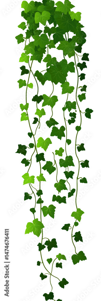 Lush green foliage, cascading down, vibrant leaves, textured vines Lush green foliage, cascading down, vibrant leaves, textured vines
