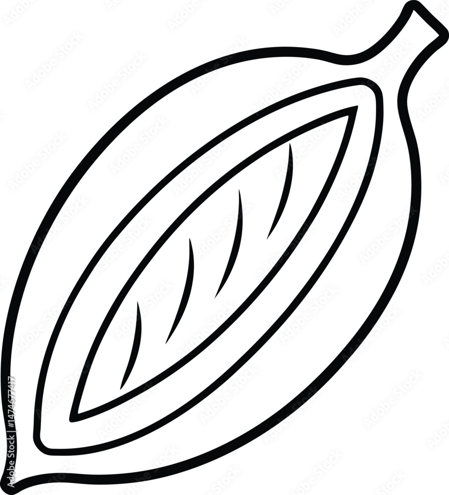 vector illustration of a cocoa pod vector illustration of a cocoa pod