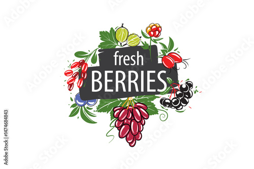 Vector logo with painted fresh berries.