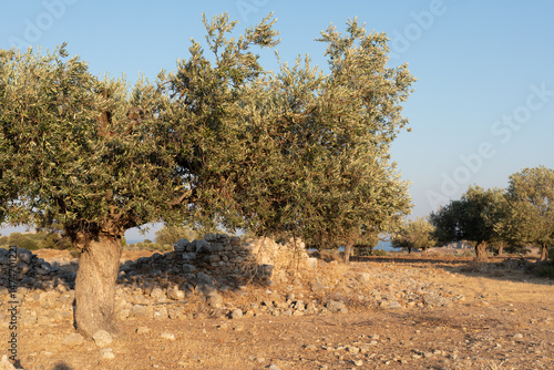 Picturesque landscape photo...