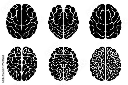 set of brains silhouette vector on tranparent background