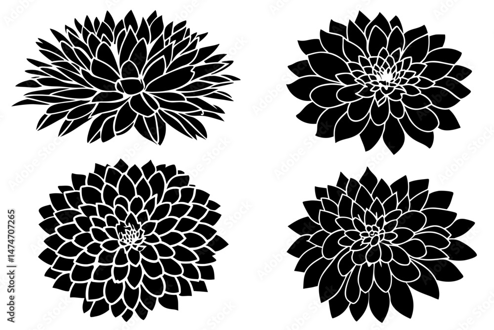 Obraz premium set of dahlia flowers with leaves. Flower silhoutte. Vector illustration