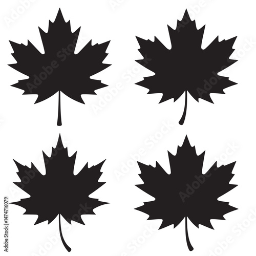Simple Line Drawings outline of Maple Leaves, Black Silhouettes of vector set Maple Leaves