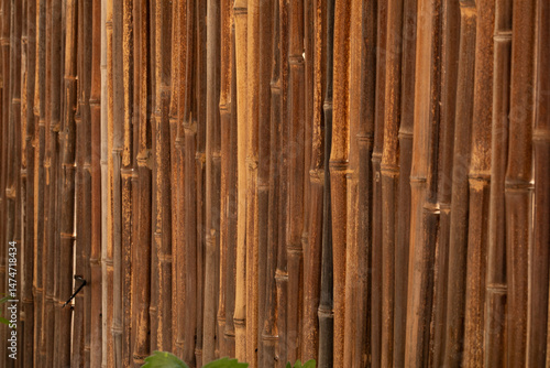 High-resolution image of a ...